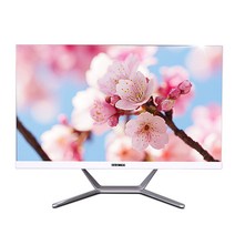 뷰라이프 올인원 24 일체형PC AP-D238 (Intel Duel-Core i5 61cm), AP-D238-i5, 기본형