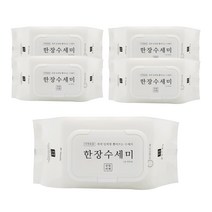 살림비책 일회용 뽑아쓰는 세제일체형 한장수세미 40p, 5개