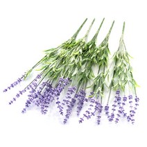다우에프앤지 조화 후로킹 라벤더 5p, 혼합색상