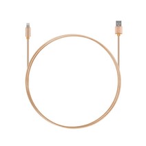 넥스트 USB to 라이트닝 8핀 고속충전 데이터 케이블 NEXT-1525L, 골드, 1개