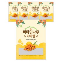 안신 비타민나무 캬라멜, 120g, 5개