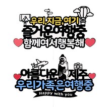 상상팩토리 케이크토퍼 파티픽 제주 + 여행 세트, 혼합색상, 1세트