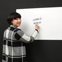 무광 보드시트지 + 밀대 + 지우대 + 전용마카, 화이트(시트지)