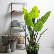 마쉬매리골드 인조나무 레기니아 극락조 138cm, 혼합색상, 1개