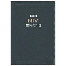 NIV 큰글 한영성경(다크블루/대/단본/PU/색인/무지퍼/NKNI 82AB), 아가페출판사