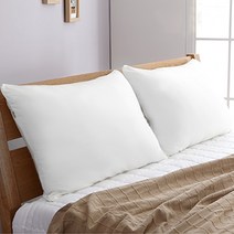아모르온 퓨어클라우드 베개솜 2p, 화이트