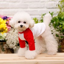 펫디자인 라인 나그랑 강아지 티셔츠, 레드