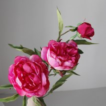 조화 인테리어 블룸 작약, 핫핑크