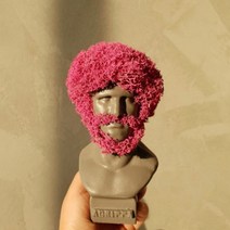 모리아트 모스아트 아프로헤어 아그리파 이끼 + 리본 랜덤발송, 1세트