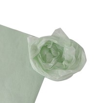 티나피크닉 꽃포장 단색 색화지 전지, 민트색, 25개