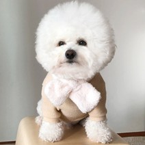 바이담수미 강아지옷 보아목도리 XL, 베이지