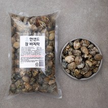 단디프레시 안면도 참바지락, 1kg, 1개