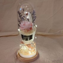 꽃이있는풍경 생화 프리저브드 플라워 + 유리돔 대, 핑크(프리저브드 플라워), 유리돔대
