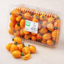 GAP 인증 오렌지 대추 방울 토마토, 1.5kg, 1개