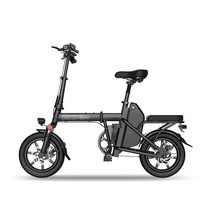 레이윙 디스커버리 전기 자전거 48V 5.2Ah, 블랙, 알루미늄(알로이)
