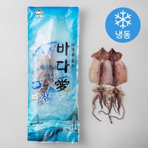 해풍수산 영덕항 반건조 오징어 중 10미 (냉동), 800g, 1개