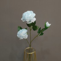 세뇨르킴 프리미엄 장미 모란 조화 10p, 소라