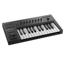 엔아이 KOMPLETE KONTROL A25 USB 미디 마스터 건반 키보드, 혼합색상