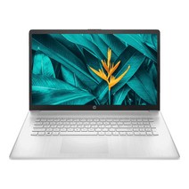 HP 17s-cu0020TU 17.3, 네추럴 실버, 코어i7 11세대, 512GB, 8GB, WIN11 Home