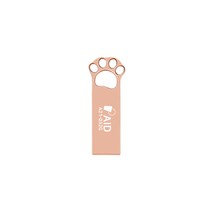 AID A21 USB 2.0 로즈골드, 32GB