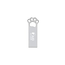 AID A21 USB 2.0 실버, 32GB