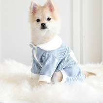 쁘띠도그 강아지 몽글 올인원 DA027, 블루