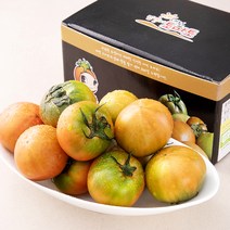 GAP 인증 가족 대저 짭짤이 토마토, 1.5kg, 1개
