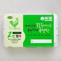 자연애찬 동물복지 무항생제 유정란 15구, 1개