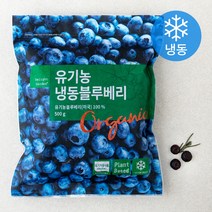 딜라잇가든 유기가공식품 인증 블루베리 (냉동), 500g, 1개