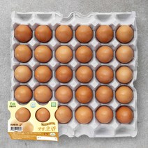 샛별뜨락 무항생제 인증 샛별 초란 30구, 1320g, 1개