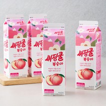 써핑쿨 유산균음료 복숭아, 930ml, 4개