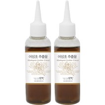 맑을담 어성초 추출물 뷰티소품 100ml, 2개