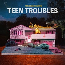 검정치마 - TEEN TROUBLES 정규 3집 앨범, 1CD