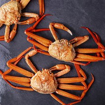 해선생 포항시 인증 바로먹는 구룡포 붉은대게(대), 840g(3미), 1박스