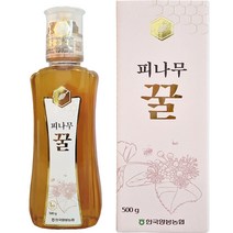 한국양봉농협 피나무 꿀, 500g, 1개