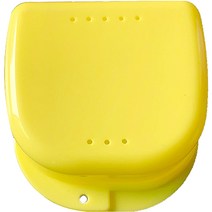 다르니나 프리미엄 틀니 보관함 옐로우, 1개입, 1개