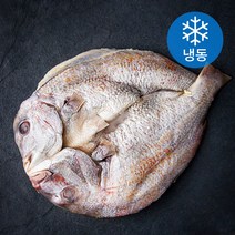 어부네 생선가게 참돔 구이용 (냉동), 700g(대), 1팩