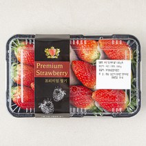 부성 킹스베리 딸기, 550g, 1팩