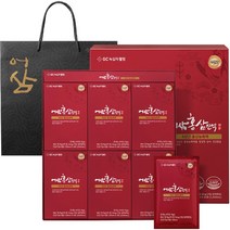 GC녹십자웰빙 어삼 홍삼진액 24p + 쇼핑백, 1200ml, 1개