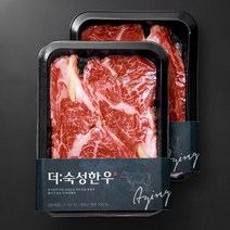 더숙성한우 산지직송 등심 2등급 구이용 1호 (냉장), 250g, 2팩