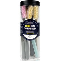 덴티본조르노 미세모 롱헤드 칫솔, 8개입, 1개