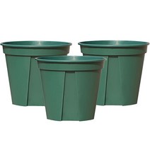 앙플랜트 숨쉬는 슬릿화분 3p, 그린