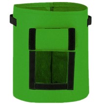 비욘드해밀 플랜트 그로우백, 그린