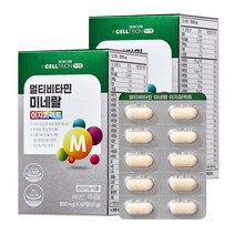 셀트리온 이너랩 멀티비타민 미네랄 이지퍼펙트, 60정, 2개