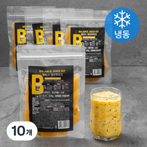 즙스토리 밸런스 패션후르츠 과일주스키트 225g (냉동), 10개