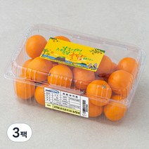 귤탐 당도선별 하우스감귤, 1.2kg(2S~M), 3팩