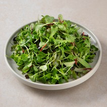 국내산 친환경 어린잎 채소믹스, 150g, 1개