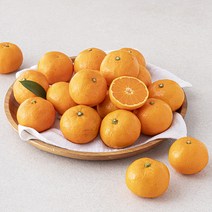 곰곰 고당도 12.5brix 감귤, 1kg(로열과), 1개 상품 이미지