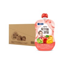 베베쿡 처음먹는 유기농 과일 100ml, 10개