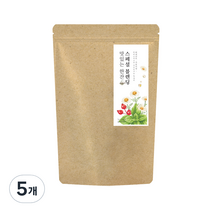 더허브샵 프리미엄 허브티 스페셜블렌딩, 1g, 20개입, 5개